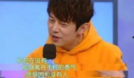 何炅爆料维嘉恋爱视频大全,揭秘明星恋情幕后故事